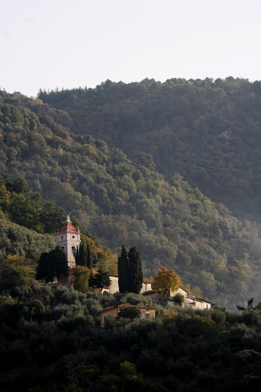 Villa Il Gelsomino Lucques Extérieur photo